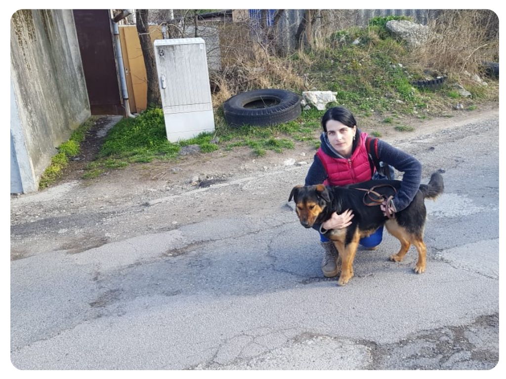 Adopce pejske ze Slobody zvierat